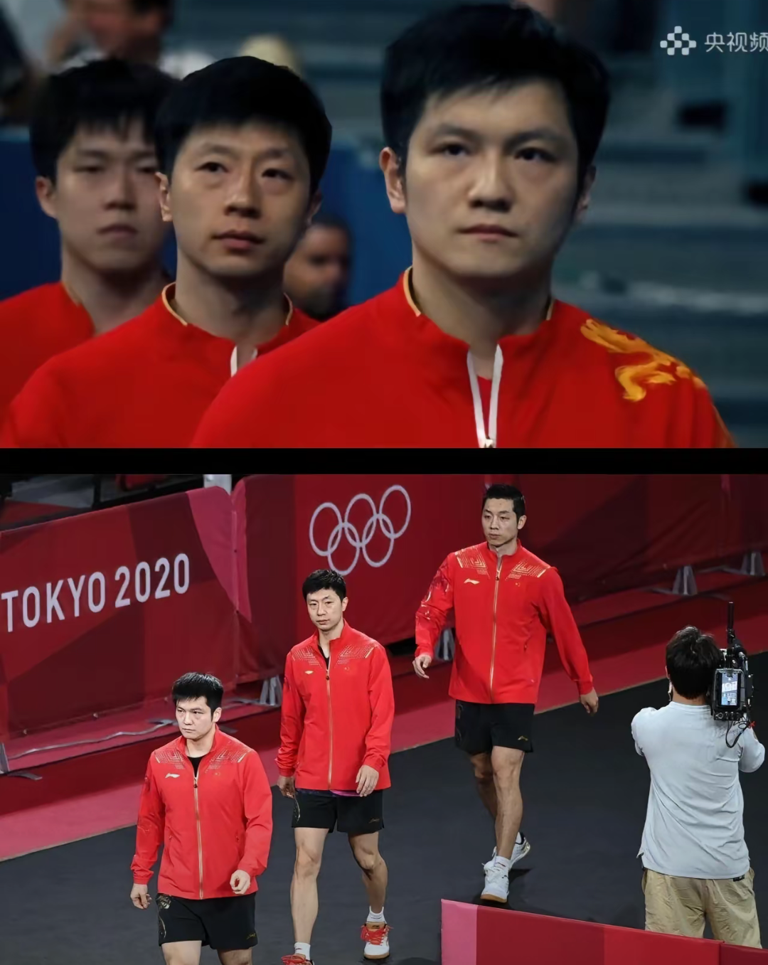 波兰乒乓球队强势法国乒乓球队，樊振东制霸全场