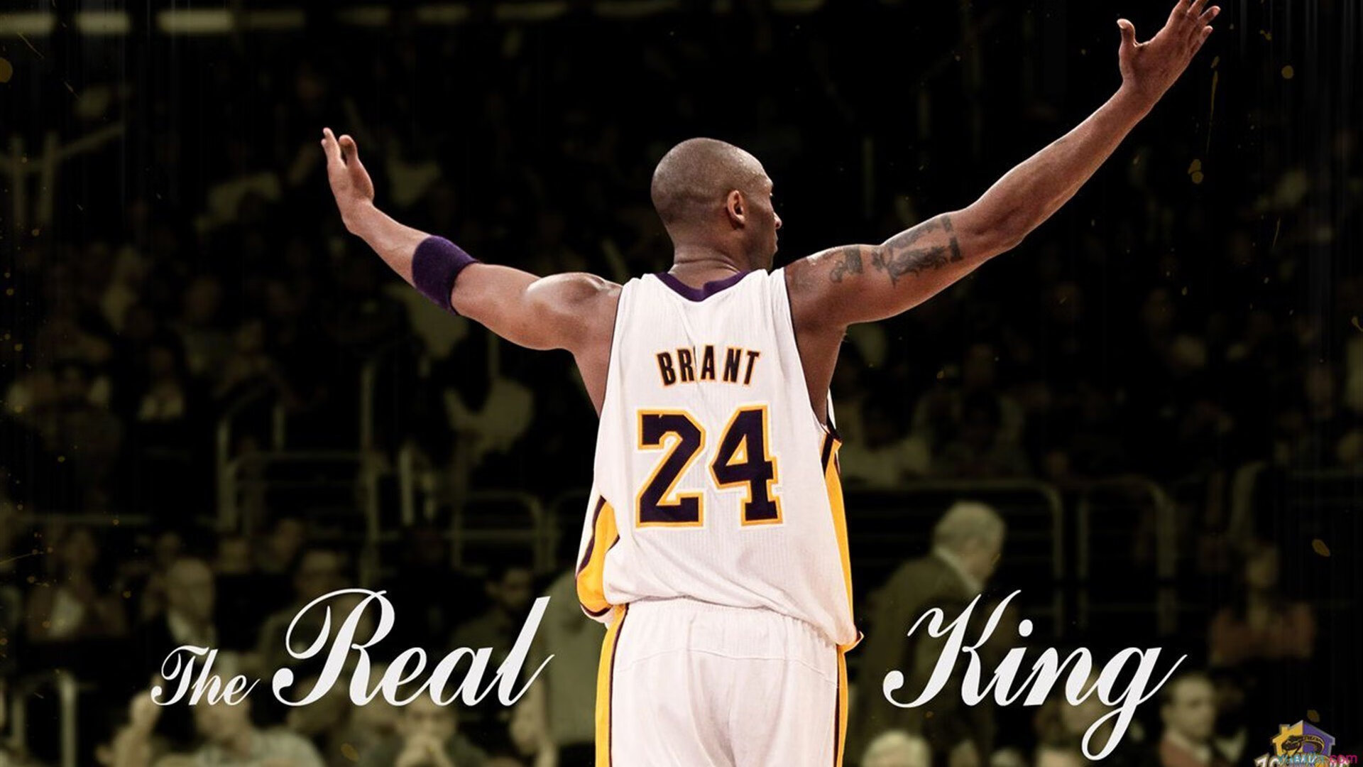 罗德里戈末节接管，厄瓜多尔如何用唯一性击碎威尔士的美加墨之梦